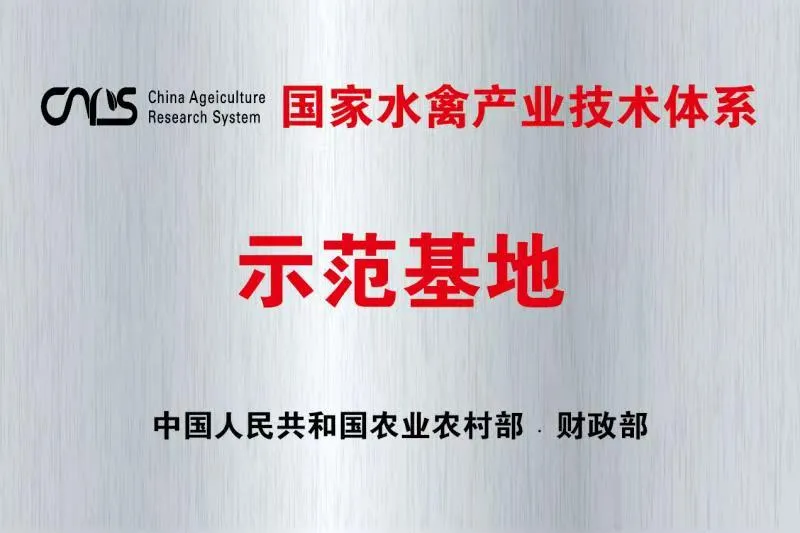 资质荣誉