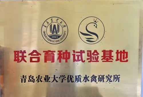 资质荣誉