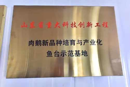 资质荣誉